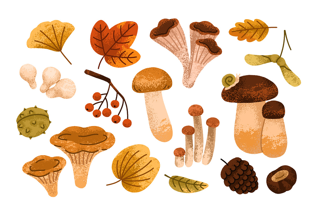 Autumn leaves. Fall set, backgrounds, a Seasonal Illustration by Good Studio (Photo 2 of 13)