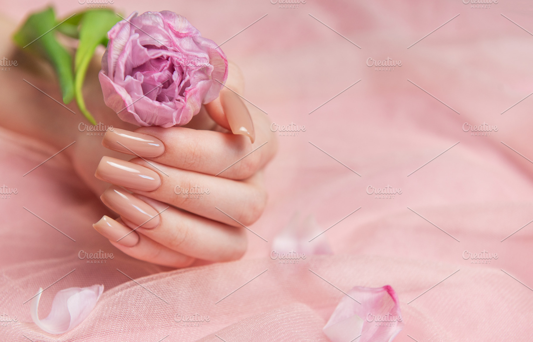 Woman hand with perfect nude manicure holding pink flower on pin, a Beauty & Fashion Photo by Olena Rudo