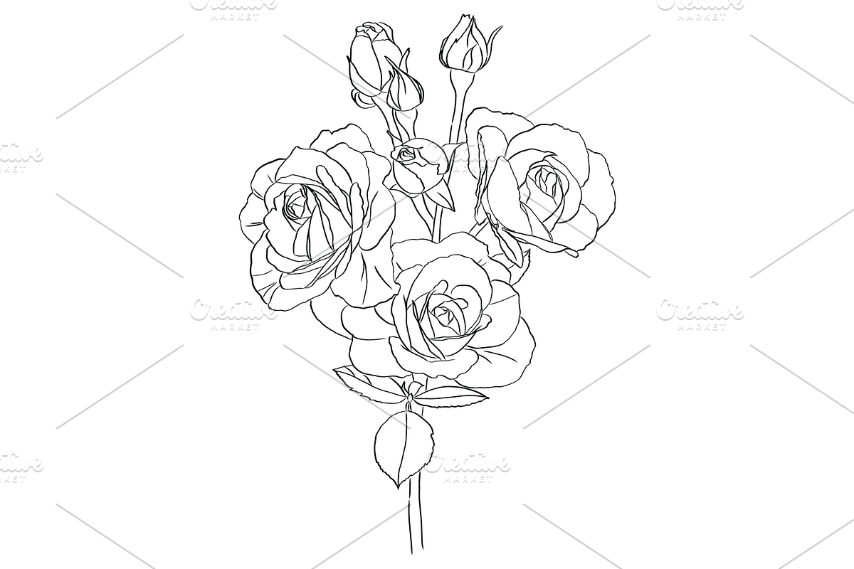 Bunch of Roses, an Object Graphic by VictoriaKStudio (Photo 8 of 8)