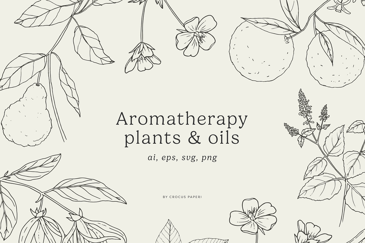 1500+ All Illustrations Bundle, a Decorative Illustration by Crocus Paperi (Photo 7 of 25)