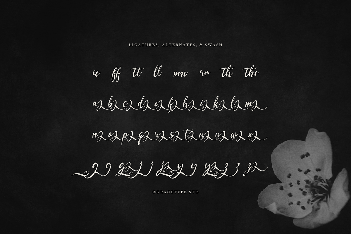 Kadegon | Beauty Calligraphy Script, a Script Font by gracetype_studio (Photo 12 of 12)