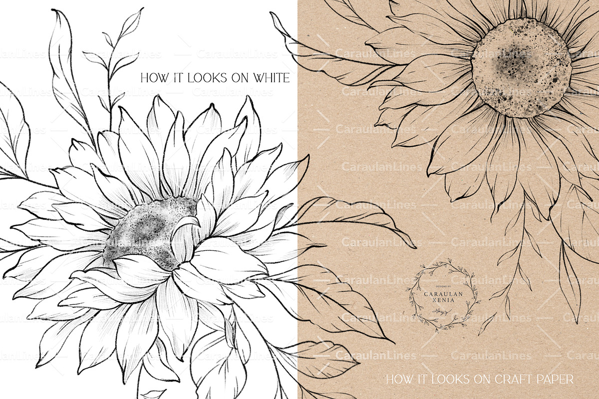 Sunflower Stamps for Procreate, a Brush Add-On by CaraulanStore (Photo 7 of 11)