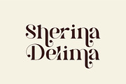 Brista - Elegant Serif Font, a Serif Font by suhadidesign (Thumbnail 2 of 10)