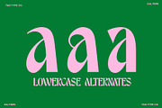 TAN - SALTERS, a Font by TanType (Thumbnail 12 of 14)