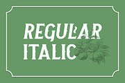 Neue Stanley, a Serif Font by Twicolabs Fontdation (Thumbnail 7 of 11)
