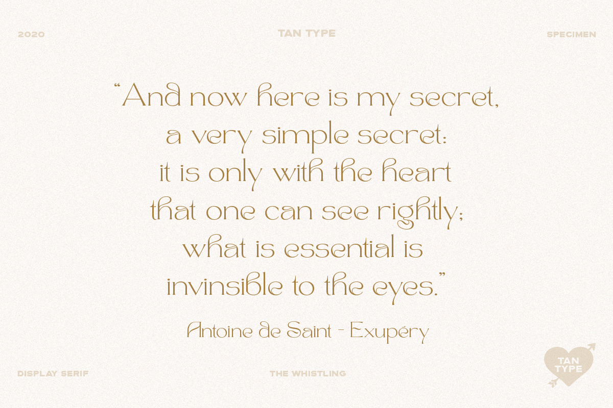 TAN - The Whistling, a Serif Font by TanType (Photo 14 of 35)