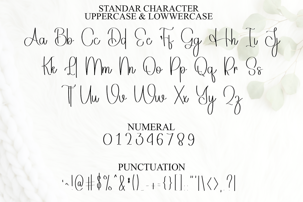 Autography, a Handwritten Font by FreshTypeINK (Photo 3 of 8)