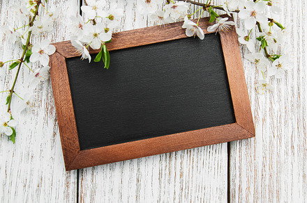 Cherry blossom and blackboard containing cherry, blossom, and spring, a Nature Photo by Olena Rudo