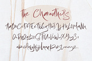 Setting fires, a Script Font by Alcode (Thumbnail 8 of 13)
