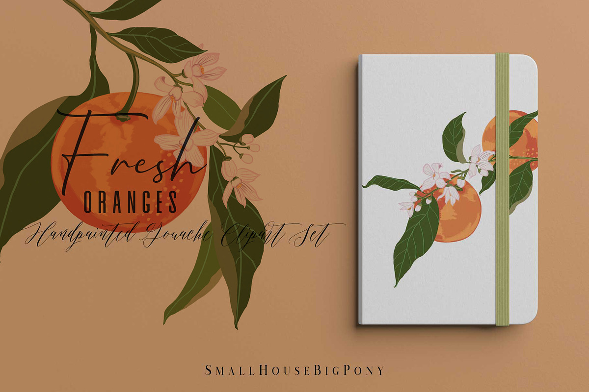 Fresh Oranges Clip art Set, a Graphic by SmallHouseBigPony (Photo 6 of 9)