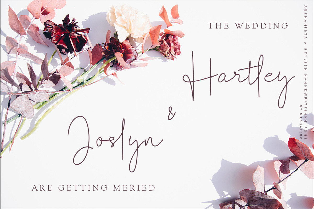 Anthanista | 3 Stylish Handwritten, a Script Font by Madhaline Studio (Photo 13 of 16)
