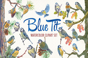 Watercolor blue tit bird clipart