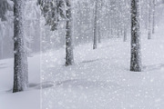 Snow Overlays, an Object Graphic by Norse Moss (Thumbnail 3 of 12)