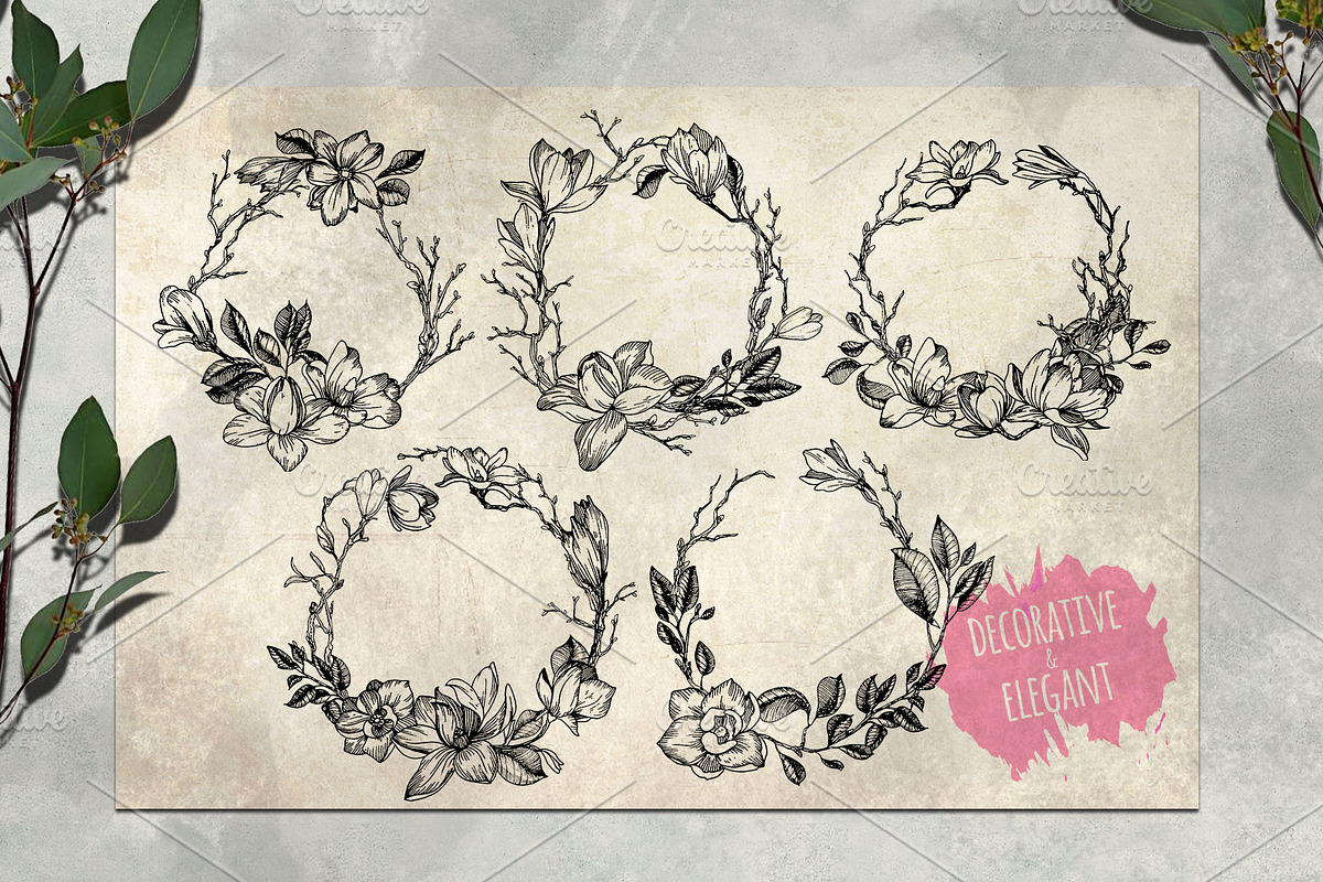 Magnolia flowers. Engraving style., a Decorative Illustration by Alena Kaz (Photo 11 of 12)