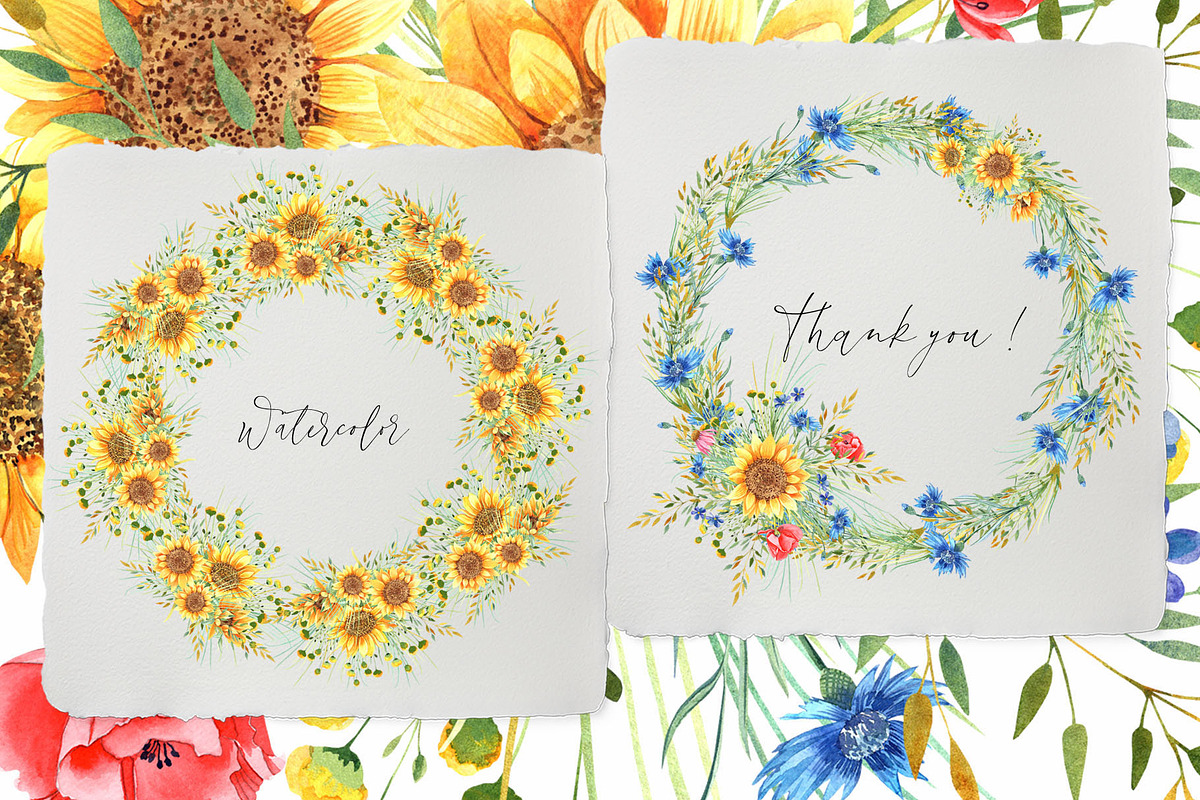 Sunflowers, an Illustration by JennyColorArt (Photo 9 of 13)