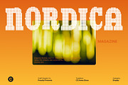 CS Areno Disco, a Slab Serif Font by Craft Supply Co. (Thumbnail 5 of 8)