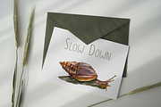 Snails Life Cycle Clip Arts & Print, an Animal Illustration by Tati Bordiu (Thumbnail 3 of 4)