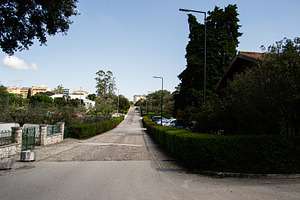 Downhill view of a road bordered by greenery in Fatima, Portugal, a Photo by AS photostudio