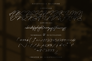 Fayetteville Signature Business Font, a Script Font by KennedyStudio (Thumbnail 8 of 11)
