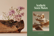 55 Luxury Driftwood Stock Photos, a Nature Photo by Incomelion (Thumbnail 3 of 12)