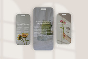 Menopause Template Bundle, a Social Media Template by Naturopath Hub (Thumbnail 3 of 10)