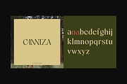 Canniza - Display Serif Font, a Serif Font by Prominent & Affluent (Thumbnail 7 of 8)
