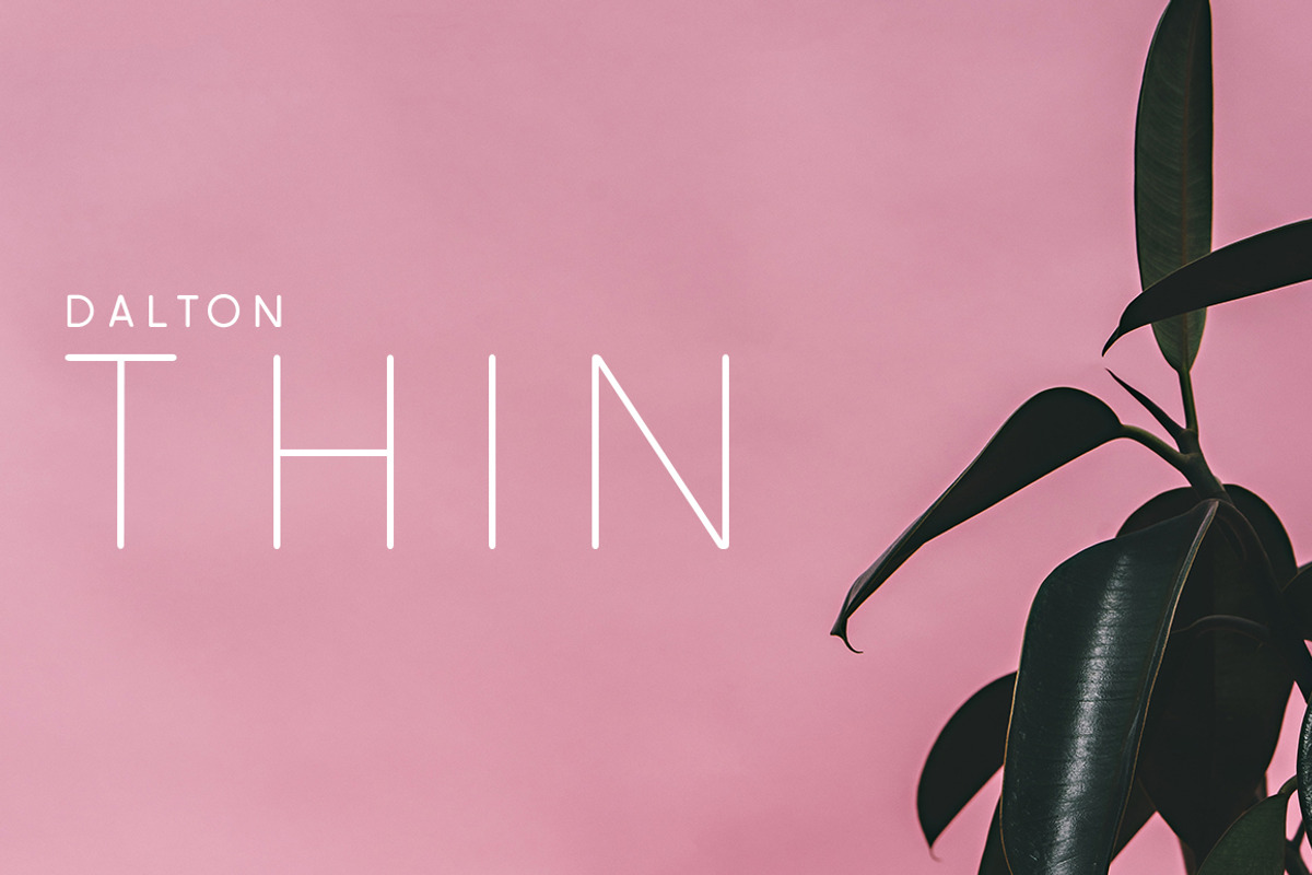 The Sleek Font Bundle, a Sans Serif Font by Zone 6 (Photo 13 of 29)