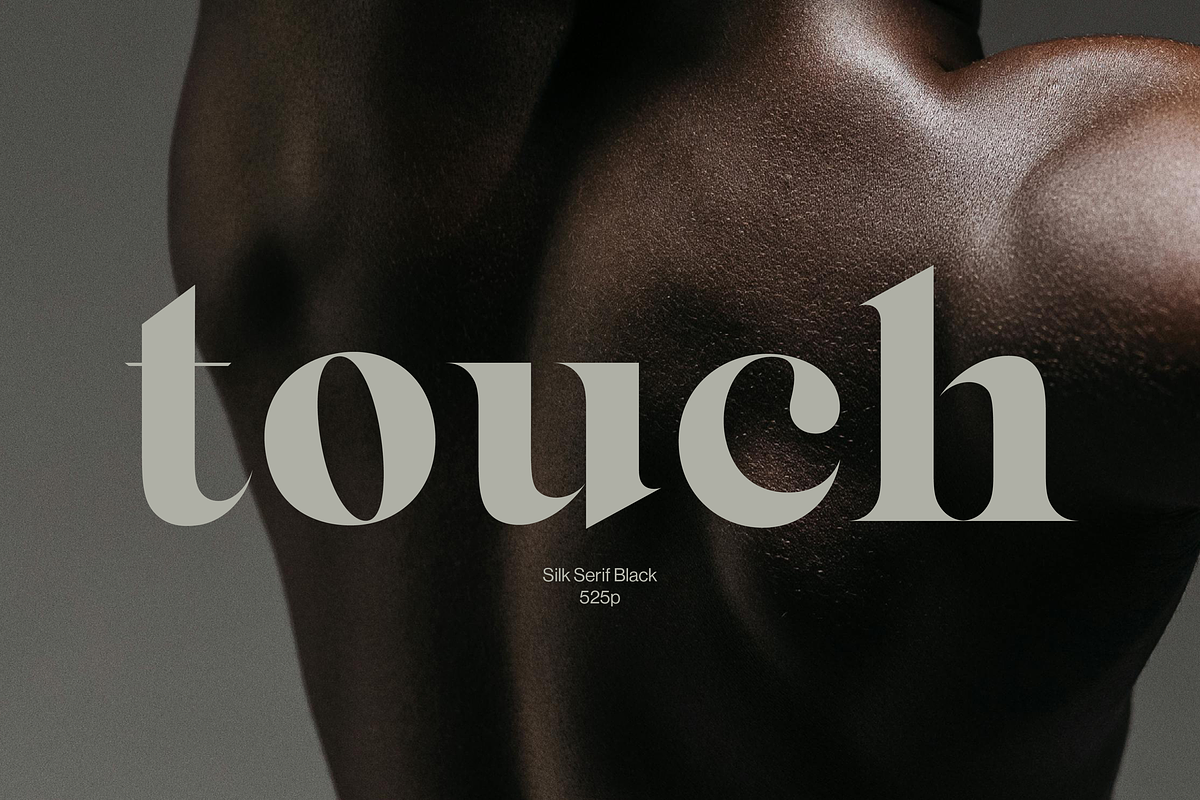 Silk Serif - 14 font family, a Serif Font by Silktype (Photo 4 of 17)