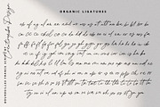 Bourdeilles France Script Font, a Script Font by Creativeqube Design (Thumbnail 16 of 16)