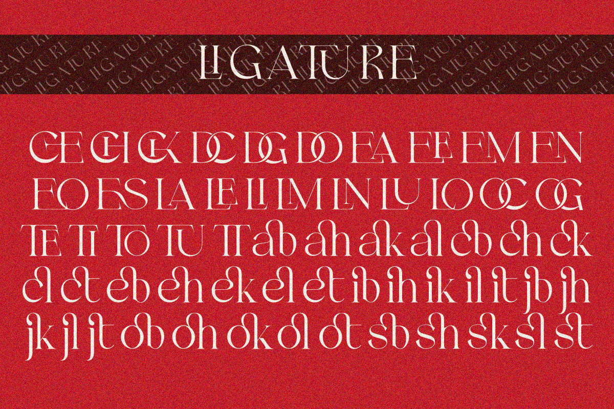 Velick, a Serif Font by zaaintype (Photo 2 of 10)