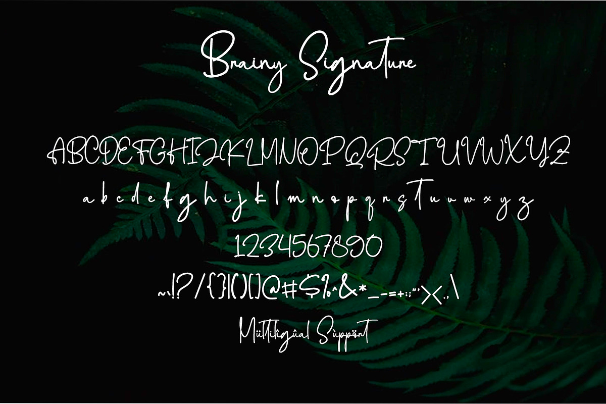 Brainy Signature Font, a Script Font by Yuby Creative (Photo 7 of 7)