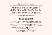 Drigha - Stylish Serif Font, a Serif Font by Typebae (Thumbnail 9 of 11)