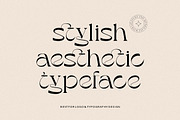 Austin City - Aesthetic Serif Font, a Serif Font by HansCo Studio (Thumbnail 3 of 7)