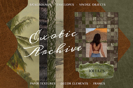 Exotic Archive collection