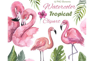 Watercolor Flamingo Clipart. Tropic