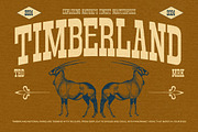 Slabrity, a Slab Serif Font by graphicook (Thumbnail 6 of 10)