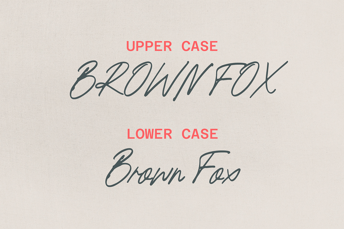 Onomali script font, a Script Font by zansari foundry (Photo 4 of 6)
