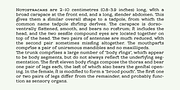 Leto Two, a Serif Font by Glen Jan (Thumbnail 10 of 10)