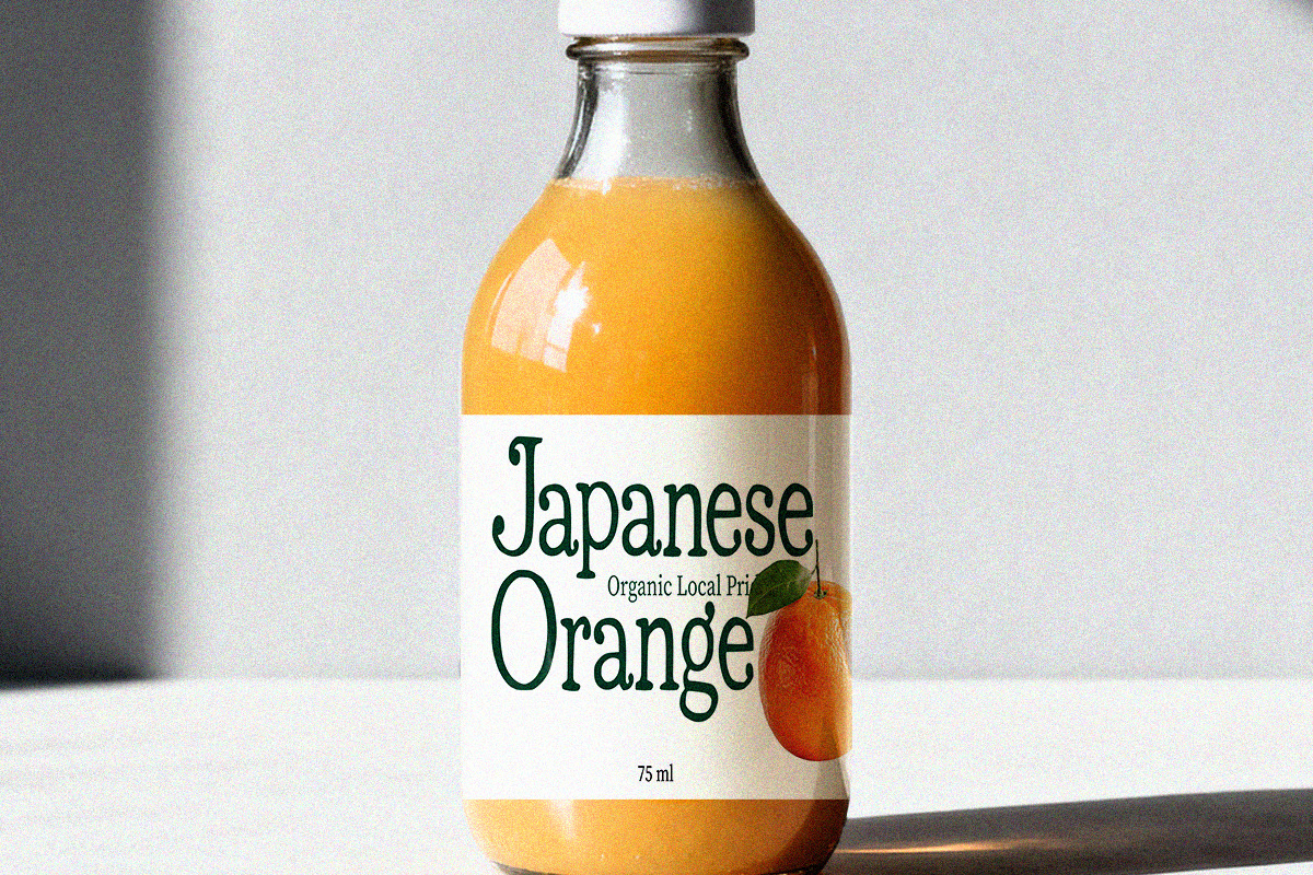 Casoria Serif, a Serif Font by Letter Fresh (Photo 4 of 12)
