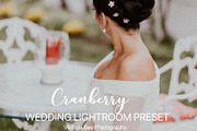 Desktop Lightroom Presets CRANBERRY, a Plug-in Add-On by Victoria Bee Presets (Thumbnail 4 of 29)