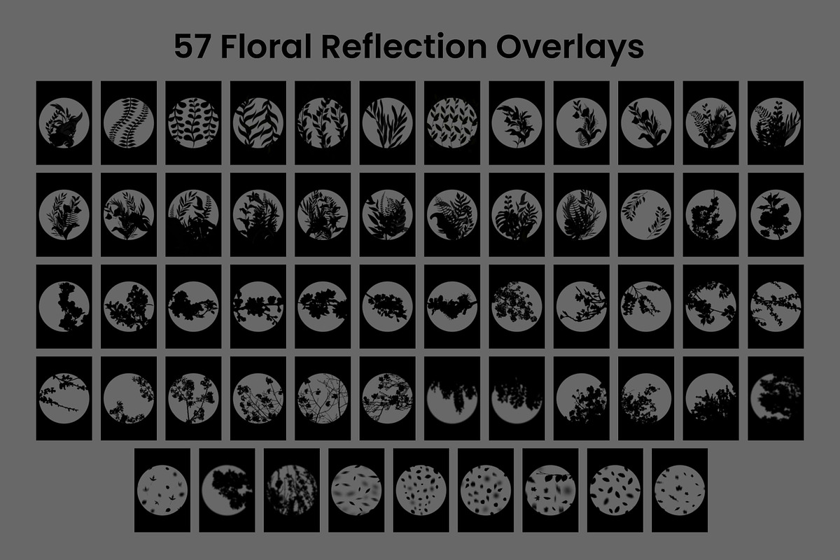 57 Floral Reflection Overlays, a Pattern Graphic by 3Motional (Photo 9 of 16)