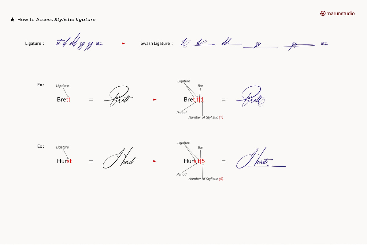 Saginatha - Signature font, a Handwritten Font by Dewan Type (Photo 12 of 14)