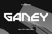 Ganey, a Sans Serif Font by riotama85 (Thumbnail 1 of 5)