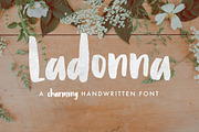 Ladonna Brush Font, a Script Font by CaseyKleeb (Thumbnail 1 of 4)