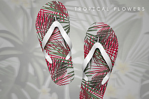 Tropical Patterns & Set VECTOR