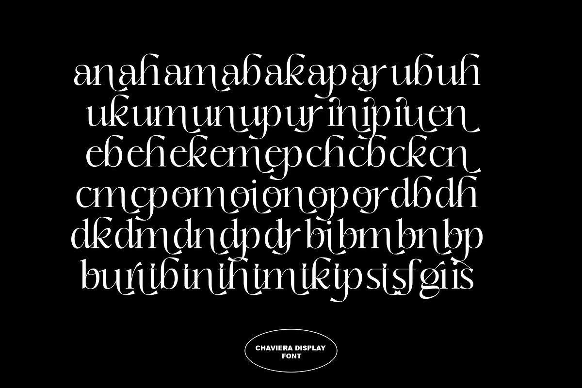 Chaviera, a Serif Font by INKSUN™ (Photo 12 of 13)
