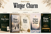 Winter Charm, a Serif Font by Wow Magic (Thumbnail 2 of 5)