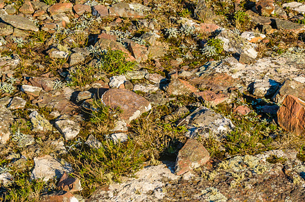 De LAs Animas Mountain Range, Uruguay, a Background Photo by DanFLCreativo