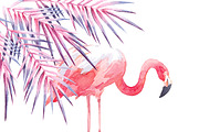 Pink watercolour collection №2, an Illustration by masha gross (Thumbnail 3 of 4)