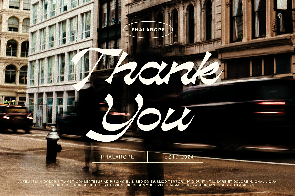 Phalarope | Reverse Contrast Script, a Script Font by Jolicia Type (Photo 10 of 10)
